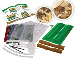 Ant Jungle - Project<Wild Science Discount