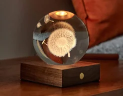 Dandelion Crystal Light - 3D Effect<Gingko New