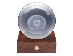 Dandelion Crystal Light - 3D Effect<Gingko New