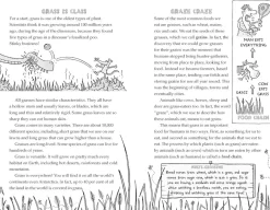 Football School - Football saves the World!<Walker Books Best