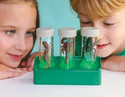 Glow Critter Lab - Spider, Scorpion & Centipede<4M Clearance