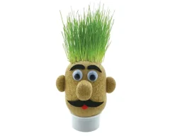 Grass Head - Grow Your Own<Funtime Gifts Best