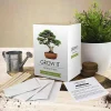 Grow It - Bonsai Trees<Gift Republic Online