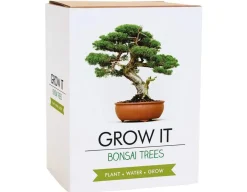 Grow It - Bonsai Trees<Gift Republic Online