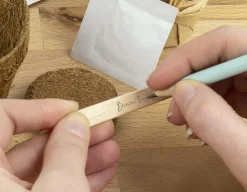 Grow It - Bonsai Trees<Gift Republic Online