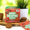 Hungry Bug Eating Plants - Grow Your Own<Gift Republic Outlet