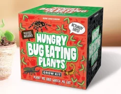 Hungry Bug Eating Plants - Grow Your Own<Gift Republic Outlet