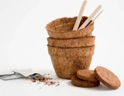 Hungry Bug Eating Plants - Grow Your Own<Gift Republic Outlet