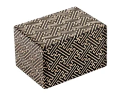 Japanese Puzzle Box - Surprise Inside!<Professor Puzzle Clearance