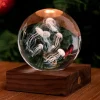 Jellyfish Crystal Light - 3D Effect<Gingko