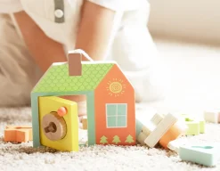 Locking Door - Wooden Matching Game<Classic World Clearance