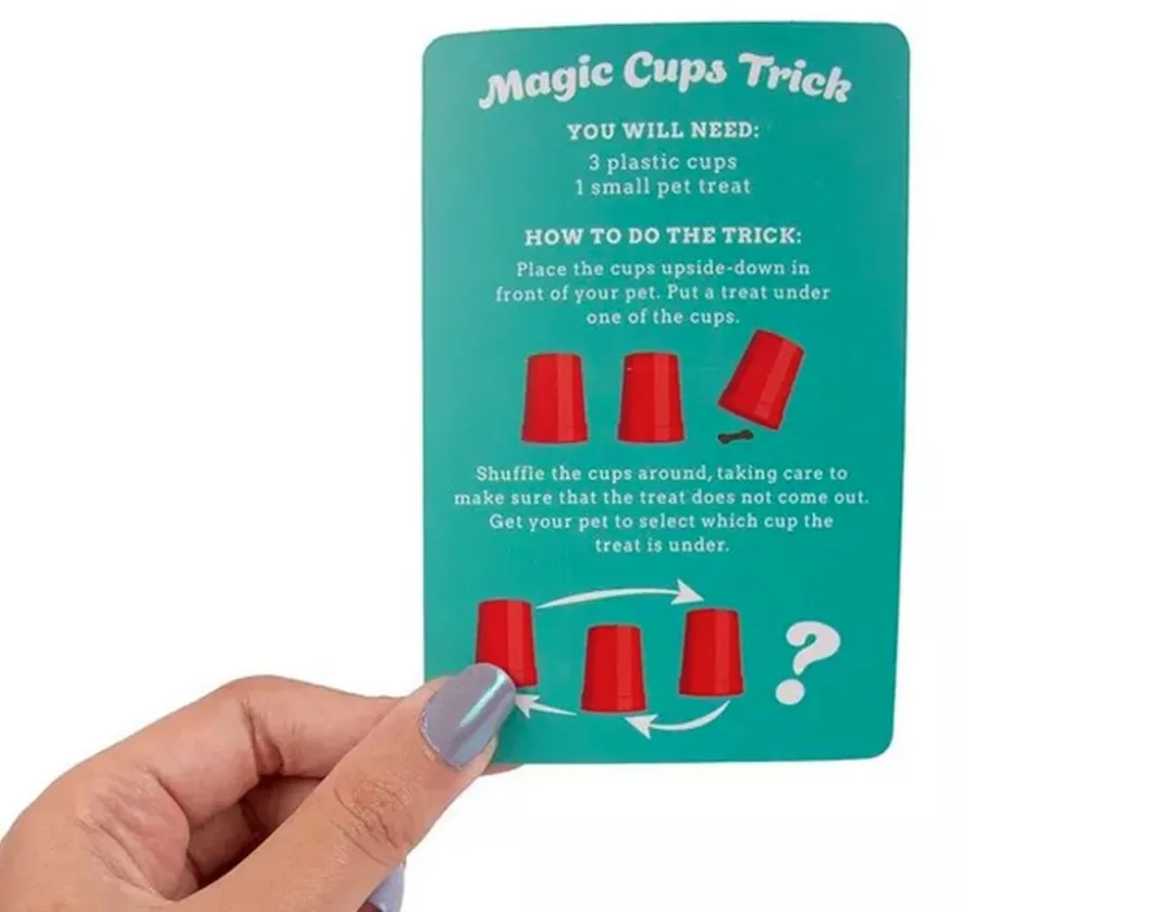 Magic Tricks With Your Pet<Fizz Creations Hot