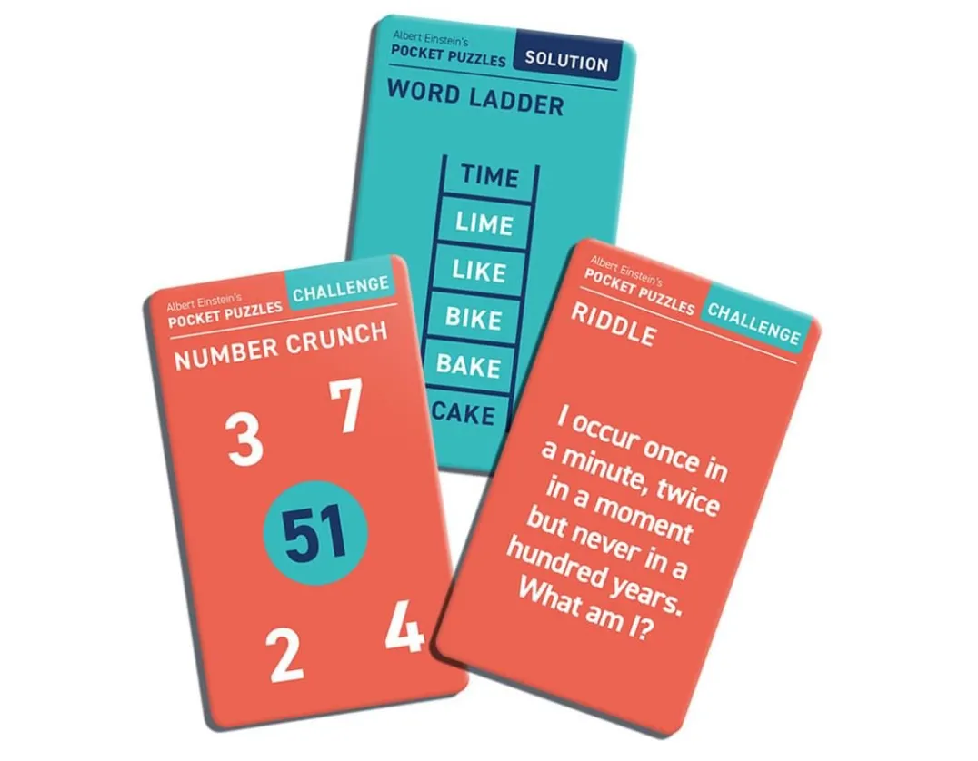 Pocket Puzzles - Albert Einstein<Professor Puzzle Sale