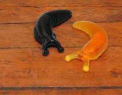 Slimy Sticky Slugs - Sticky, Icky Pair!<House of Marbles Outlet