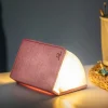 Smart Book Light - Blush Pink<Gingko