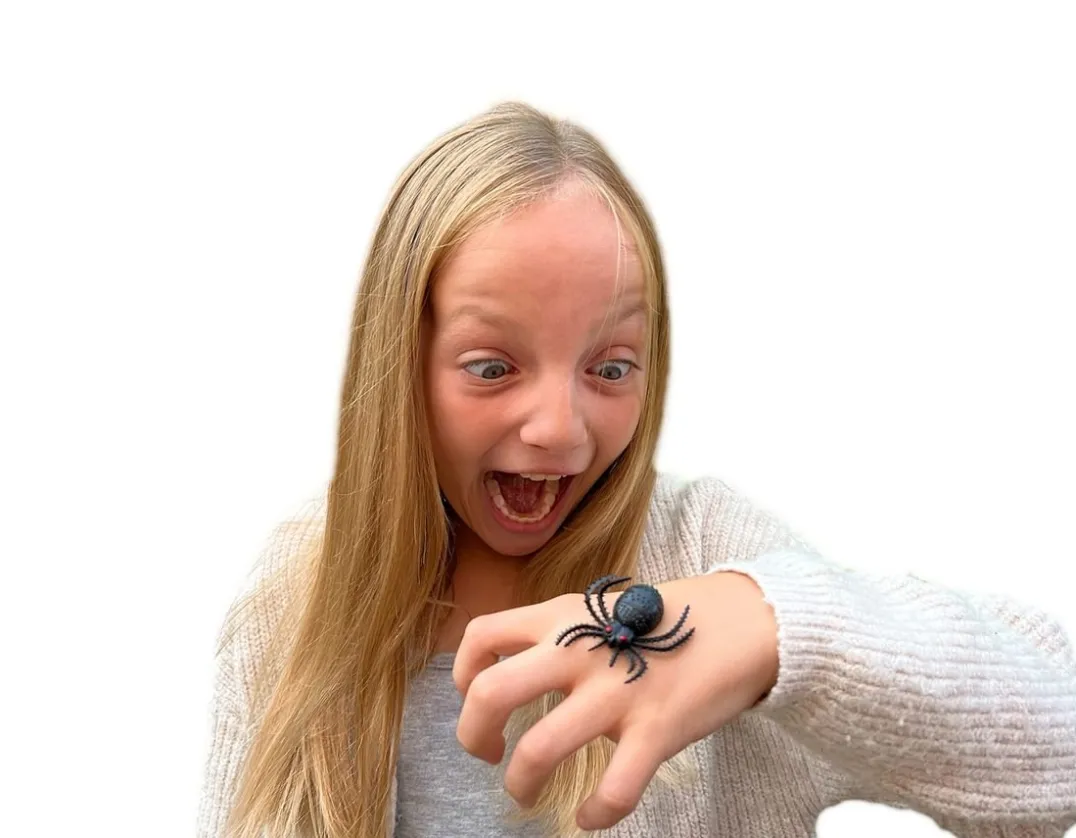 Spider Pack - Wicked Pranks<Shock Tricks Ltd Best