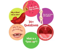 The Human Body - Science Snippets<Skillmatics Outlet