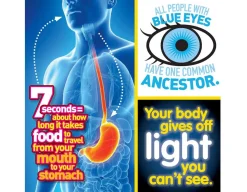 Weird But True - Human Body<National Geographic Outlet