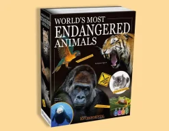 World's Most Endangered Animals<Tree Toys Hot